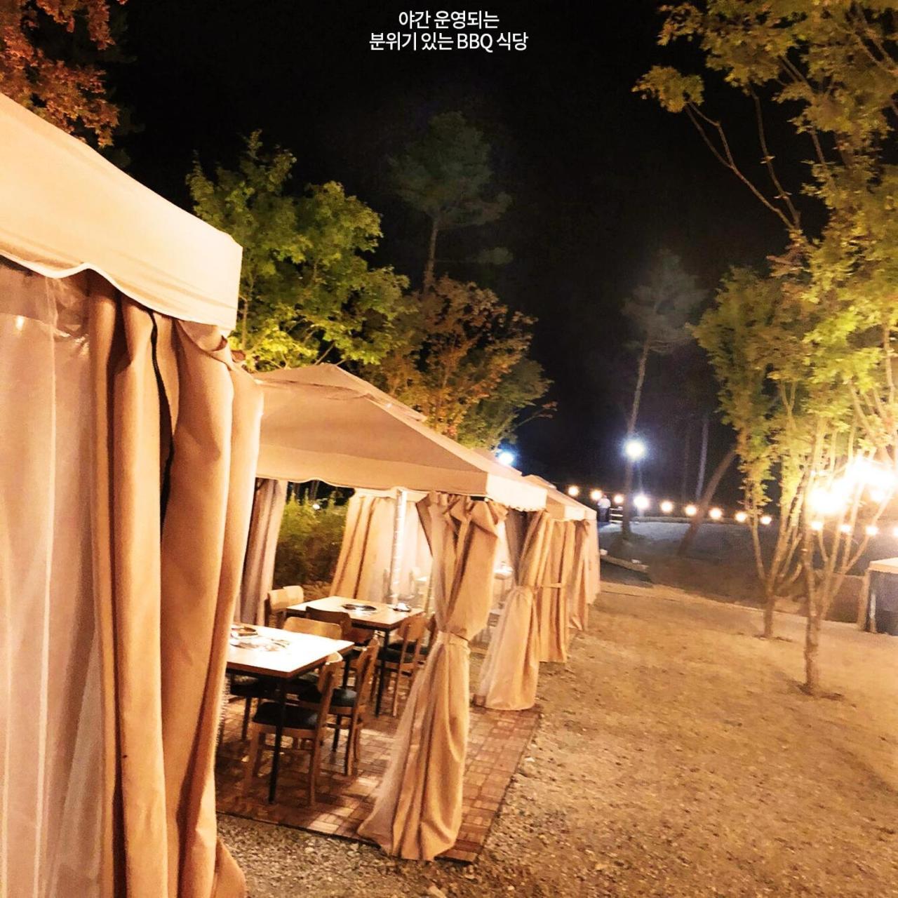 Pine Forest Jeongseon Alpine Resort Exterior foto