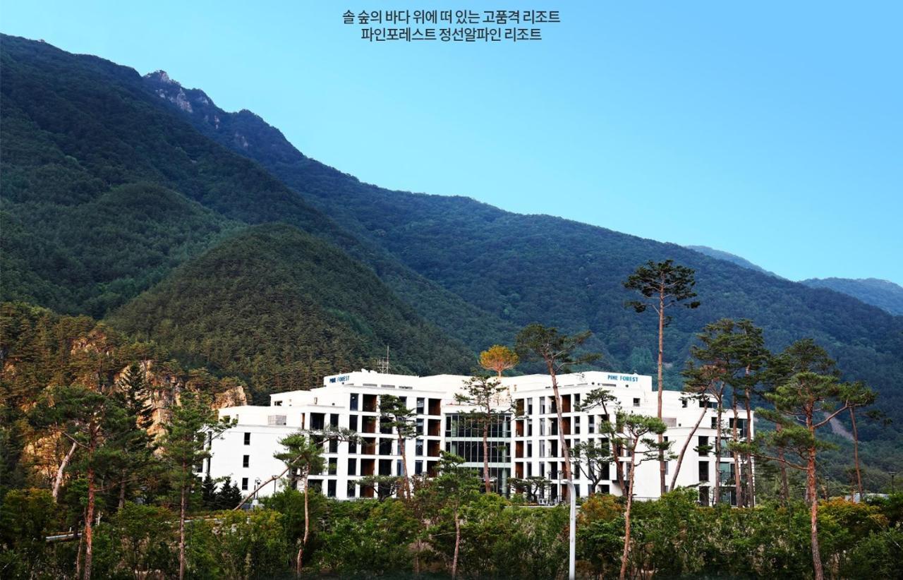 Pine Forest Jeongseon Alpine Resort Exterior foto