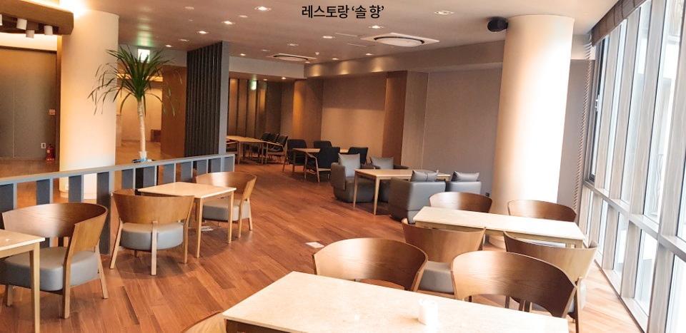 Pine Forest Jeongseon Alpine Resort Exterior foto