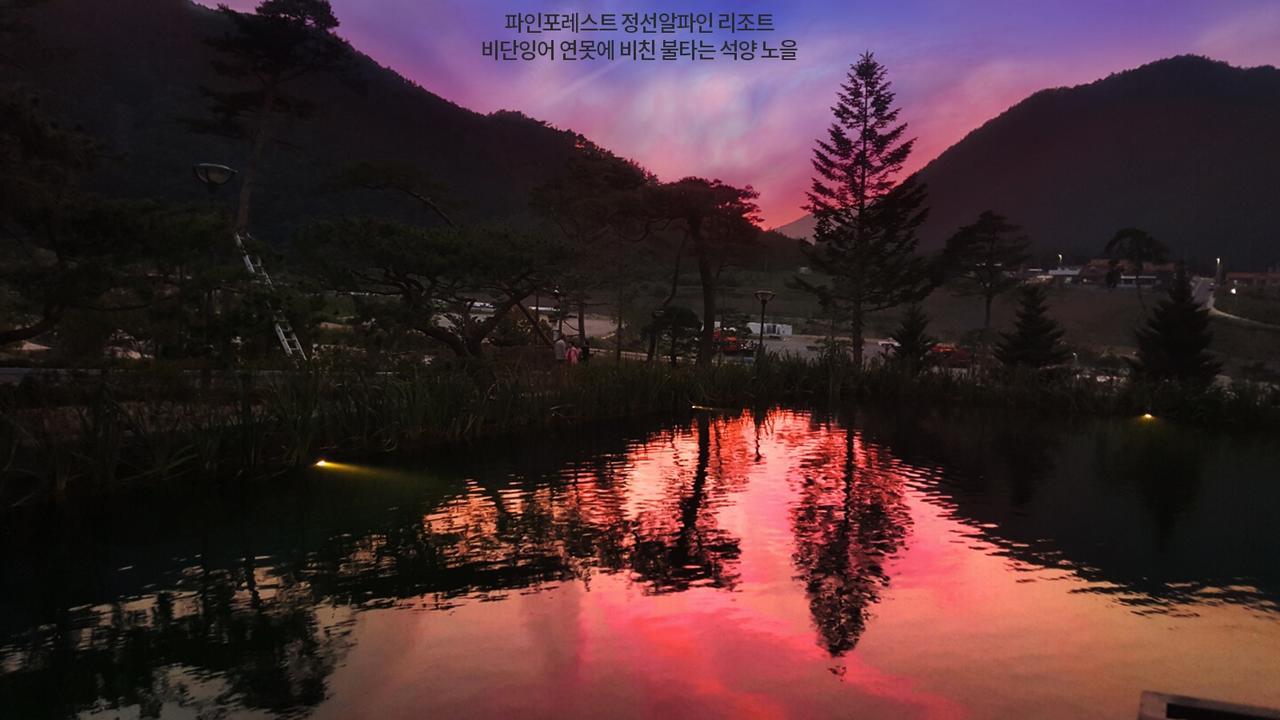 Pine Forest Jeongseon Alpine Resort Exterior foto
